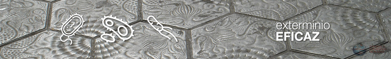 Exterminio eficaz y desinfección