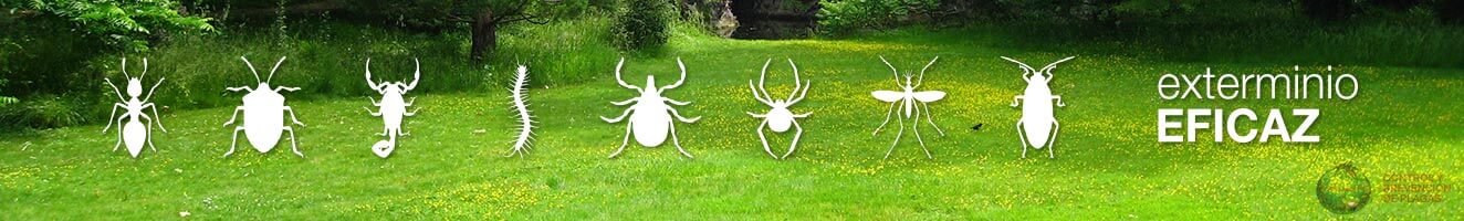 Exterminio eficaz 