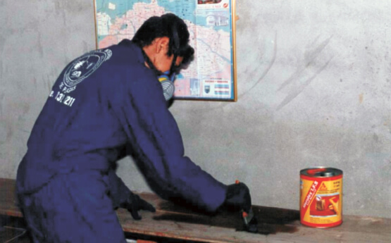 APLICACIÓN CON BROCHA