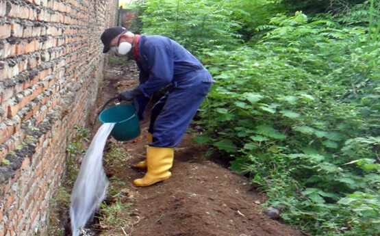 APLICACIÓN DE TERMICIDA EN ZANJA