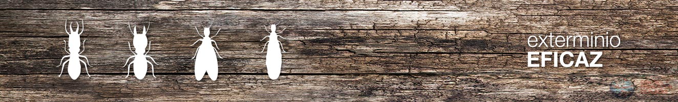 Exterminio eficaz inmunización