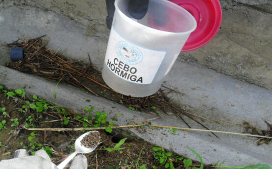 CONTROL DE LA HORIMIGA ARRIERA 